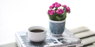 Kalanchoe - czym jest i jak uprawiać w mieszkaniu?