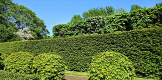 Wyroby ogrodowe z tworzyw sztucznych