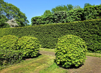 Wyroby ogrodowe z tworzyw sztucznych