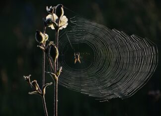 Jak zapobiec cofaniu się powietrza w wentylacji?