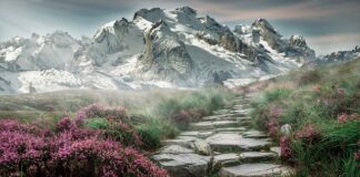 Jak zrobić wygodne schody?