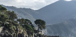 Ile kosztuje 1 m balustrady?