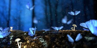 Czy wiata na drewno wymaga zgłoszenia?