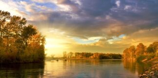 Ile kosztuje koło z balonami?