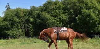 Jak montować balustradę?