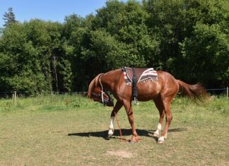 Jak montować balustradę?