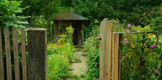 Czy wiata musi być wolnostojąca?