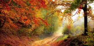 Jaki spadek na schodach wewnętrznych?