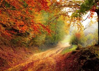 Jaki spadek na schodach wewnętrznych?