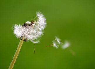 Czy dziecko może dmuchać balony?