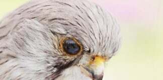 Co nie jest obiektem budowlanym?