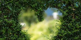 Jaki kształt basenu?