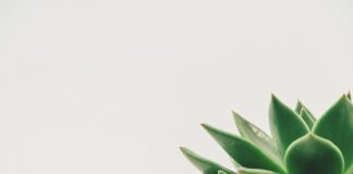 Jaka powinna być minimalna wysokość balustrady?