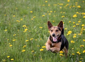 Jak wyjąć wylewkę z baterii?