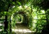 Czy Pergola to mała architektura? Czy Pergola to mała architektura?