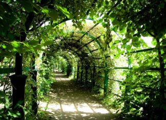 Czy Pergola to mała architektura?