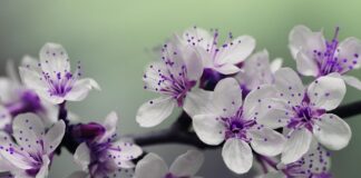 Jak zamontować słupki balustrady?