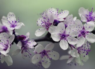 Jak zamontować słupki balustrady?