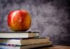 Co oznacza klasa przepływu S? Co oznacza klasa przepływu S?