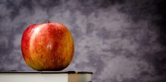 Co oznacza klasa przepływu S?