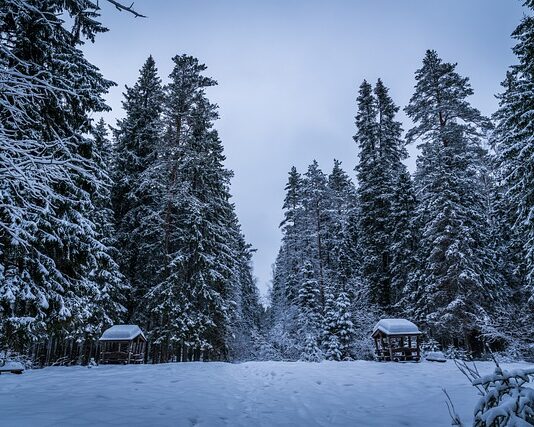 Czym różni się wiata od altany?