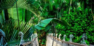 Ile trwa kurs na stolarza?