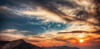 Ile kosztuje godzina pracy stolarza?