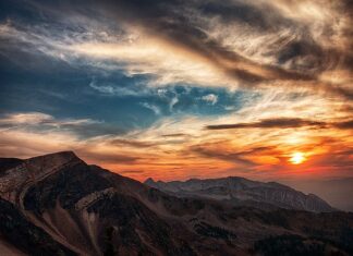 Ile kosztuje godzina pracy stolarza?