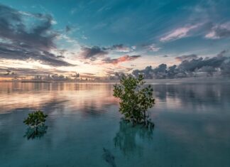Kto produkuje narożniki dla Agata Meble?