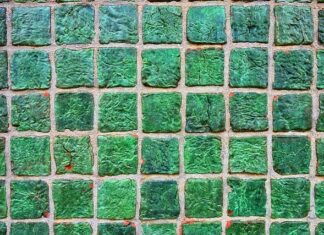 Co zamiast płytek w kuchni tanio?