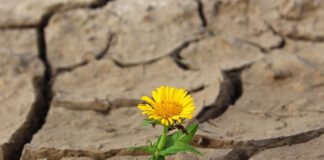 Na jakim kolorze widać brud?