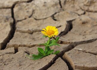 Na jakim kolorze widać brud?