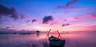 Jaki kolor będzie modny w 2023 roku?