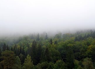 Jak zasłonić szafę bez drzwi?