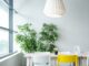 Czy Ikea Family jest za darmo?