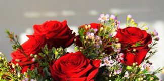 Jaki jest najdroższy kamień?