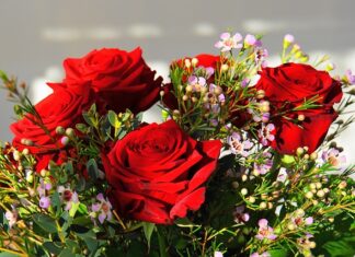 Jaki jest najdroższy kamień?