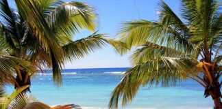 Czy Dominika to polskie imię?