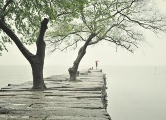 Jak grubość płyty na szafę?
