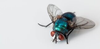 Gdzie trzymać ścierki w kuchni?