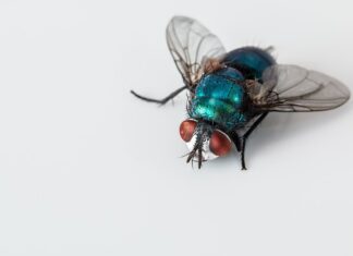 Gdzie trzymać ścierki w kuchni?