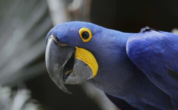 Gdzie jest największa IKEA w Polsce? Gdzie jest największa IKEA w Polsce?