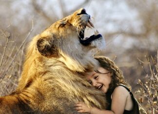 Co lepsze MDF czy HDF?