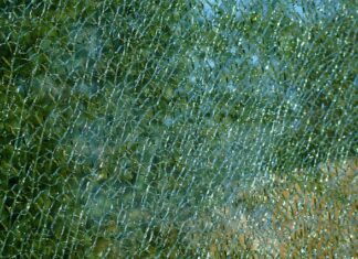 Czym się różni płyta laminowana od lakierowanej?