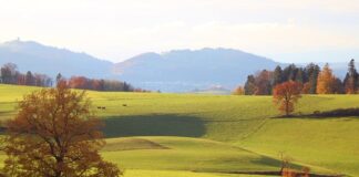 Czy 6000 brutto to dużo?