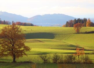 Czy 6000 brutto to dużo?
