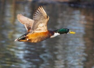 Jak zorganizować miejsce w małej kuchni?