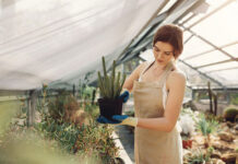 Kompost w workach – czyli jak kupić „czarne złoto” bez własnego kompostownika kompost w workach