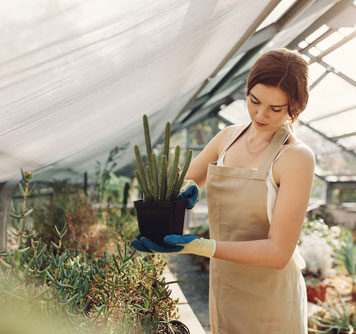 Kompost w workach – czyli jak kupić „czarne złoto” bez własnego kompostownika kompost w workach